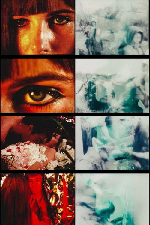 Redpath 25 (1966) poster