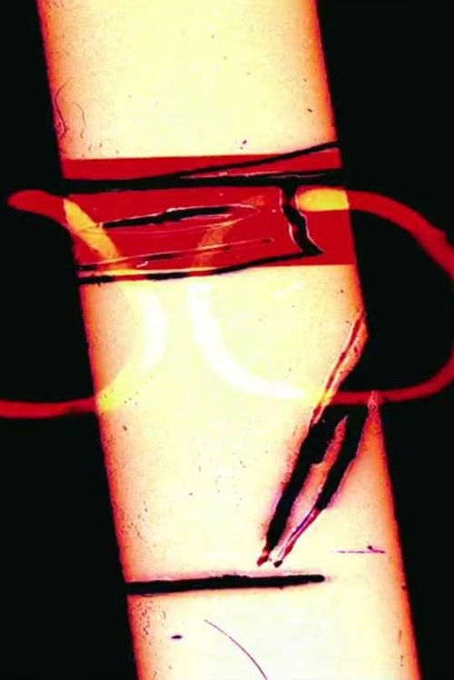 1000 Plateaus (2014) poster