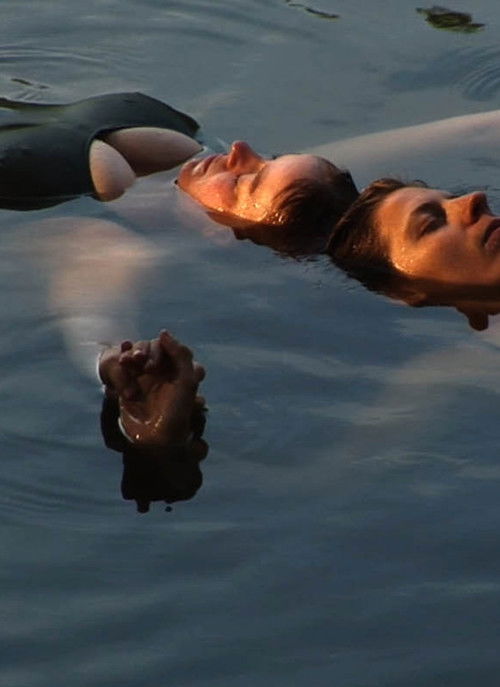 Deliver (2008) poster