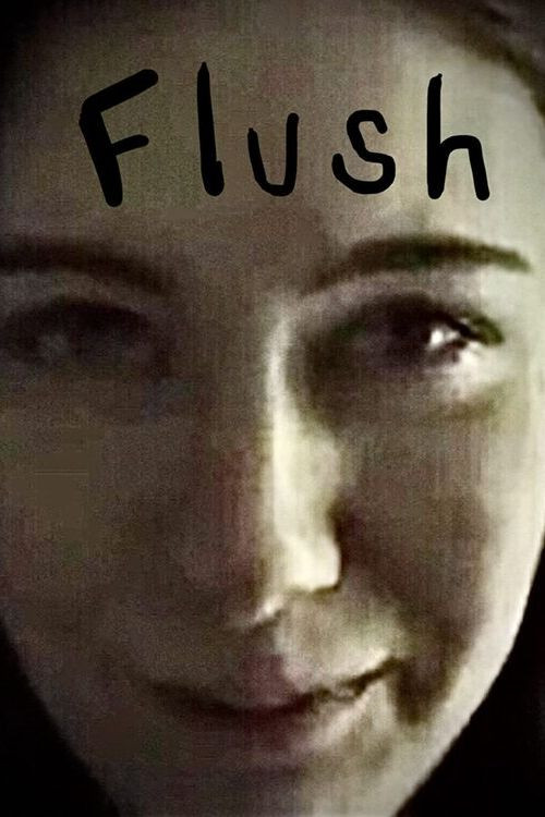 Flush (2001) poster