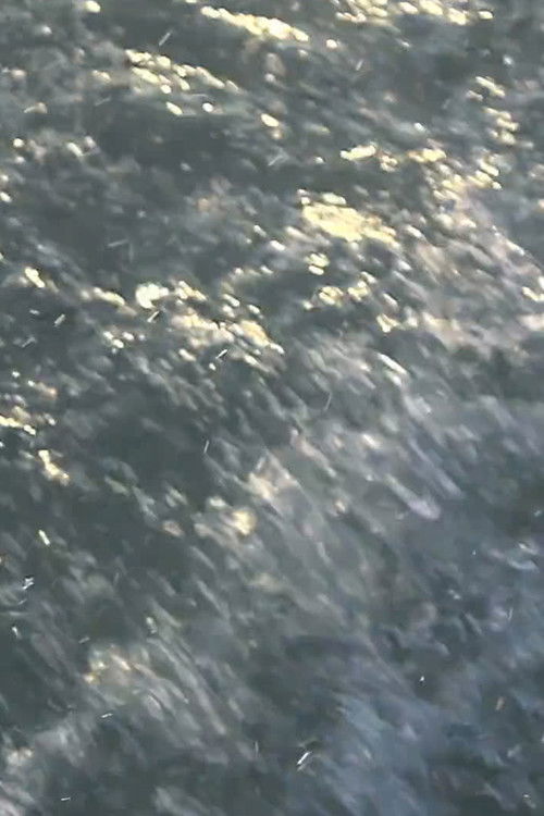 Contour (2021) poster