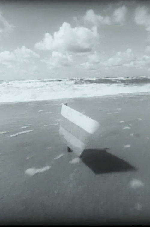 Should I bring in "Antį" now? (1988) poster