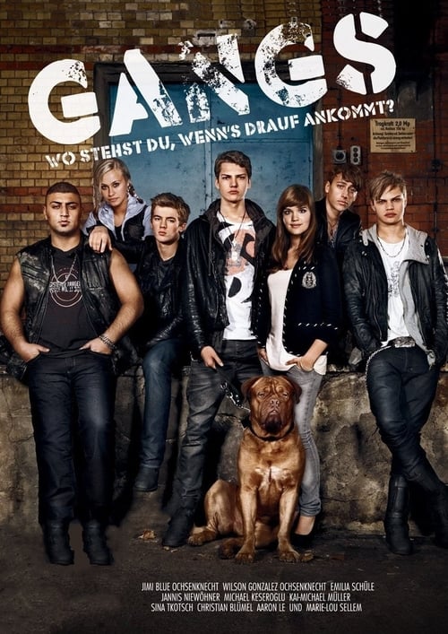 Gangs (2009) poster