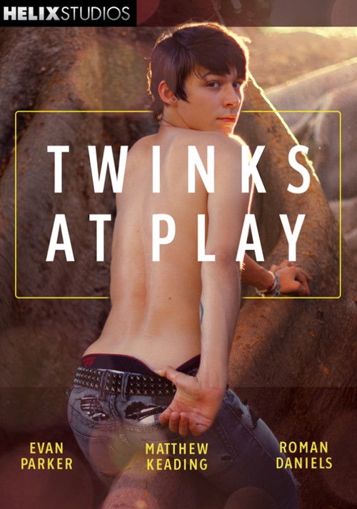 Twinks at Play (2014) poster