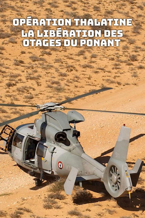 Opération Thalatine : La libération des otages du Ponant (2022) poster