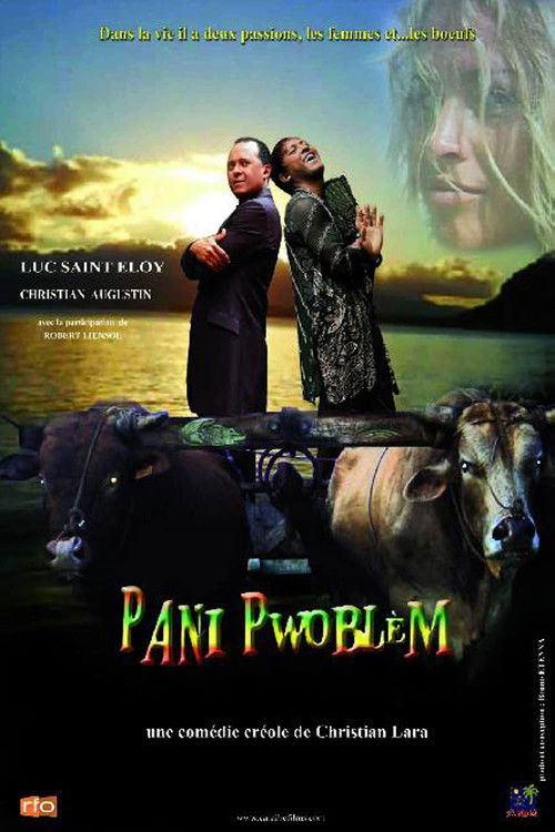 Pani pwoblem (2012) poster