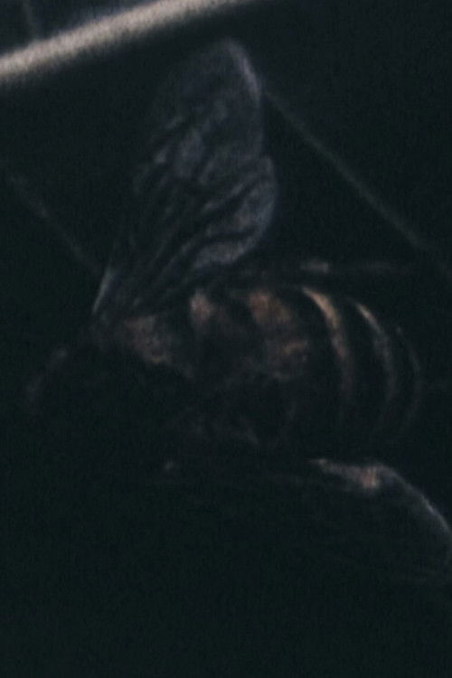 Morte all'orecchio di Van Gogh (1968) poster