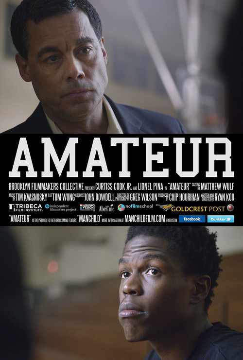 Amateur (2013) poster