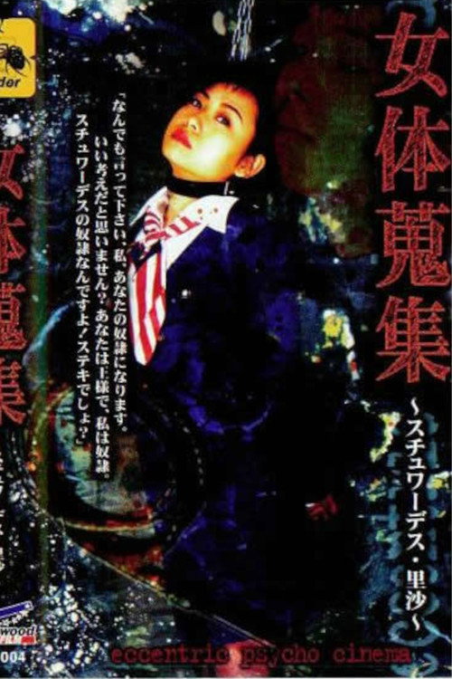 女体蒐集 ～スチュワーデス・里沙～ (1998) poster