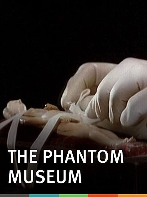 The Phantom Museum: Random Forays Into the Vaults of Sir Henry Wellcome's Medical Collection (2003) poster