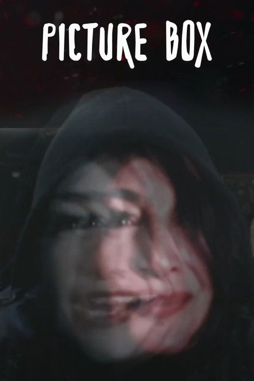 Picture Box (2023) poster