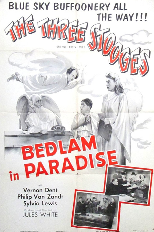 Bedlam in Paradise (1955) poster