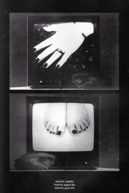Toilette (1979) poster