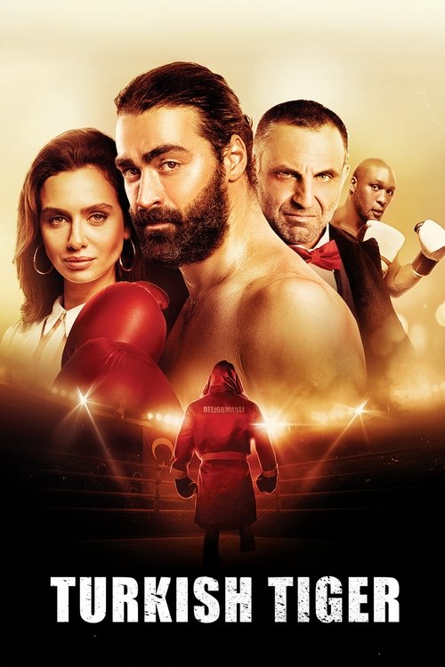 Turkish Tiger (2016) poster