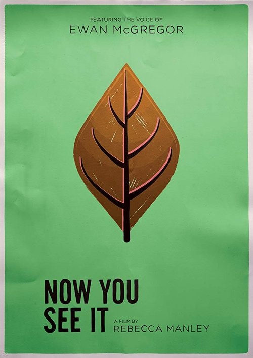 Now You See It (2017) poster