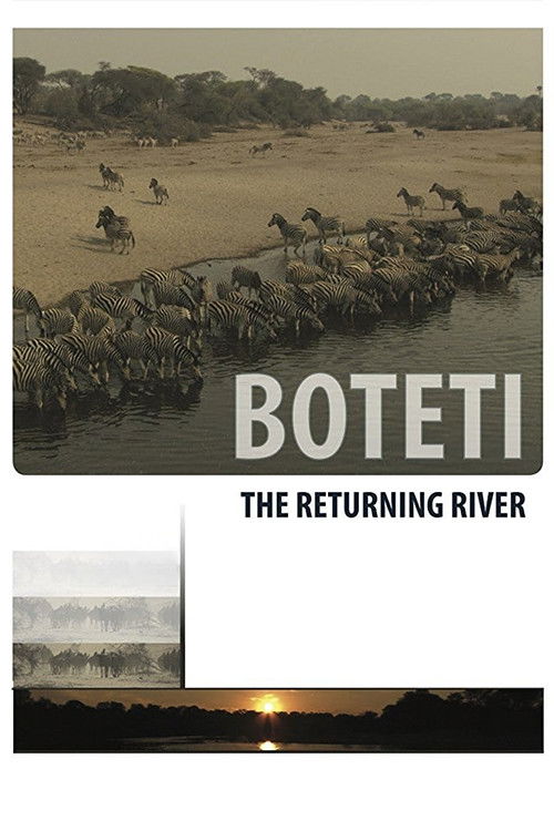 Boteti: The Returning River (2011) poster