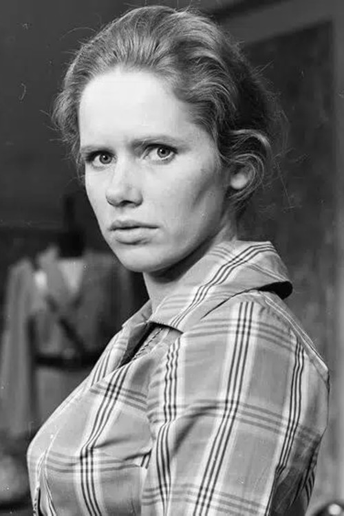 En hyggelig fyr (1966) poster