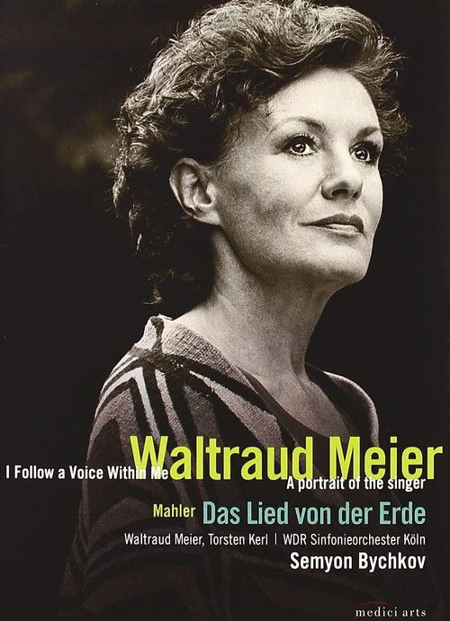 Waltraud Meier: I follow a voice within me (2008) poster