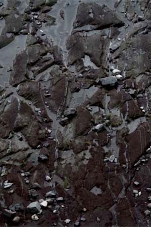 Blue Suns (2010) poster