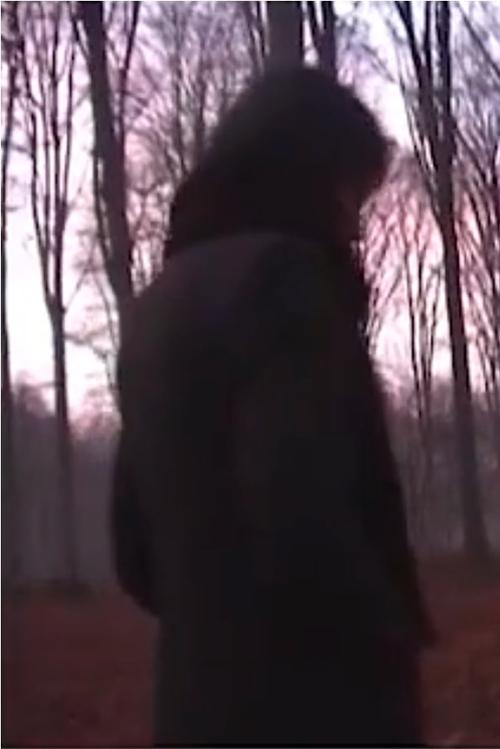 Forest (2005) poster