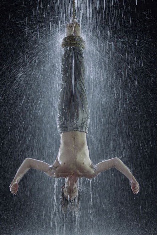 Martyrs (2014) poster