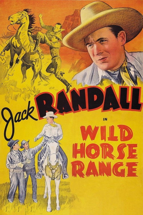 Wild Horse Range (1940) poster