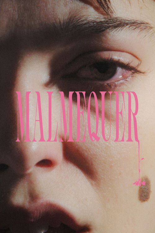 Malmequer (2025) poster