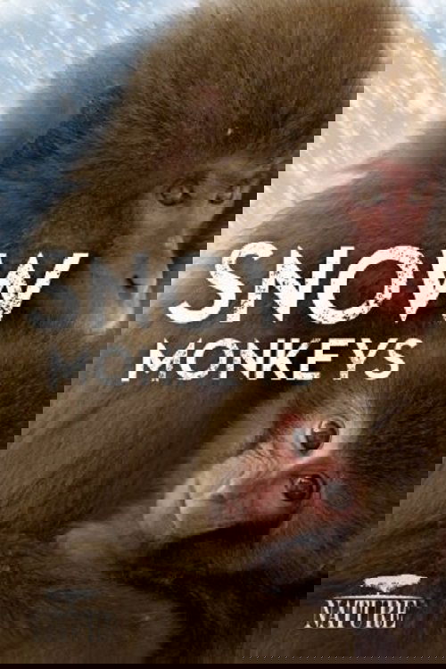 Wild Japan: Snow Monkeys (2014) poster