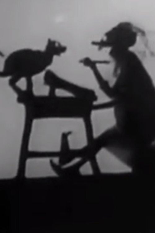 Noah Put The Cat Out (1922) poster