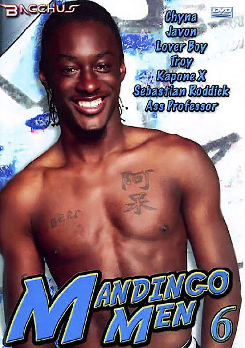 Mandingo Men 6 (2006) poster