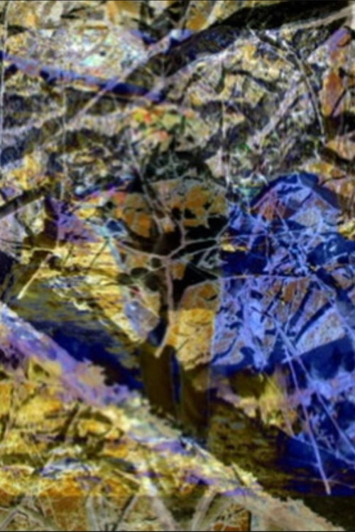 Winter Morning (2013) poster