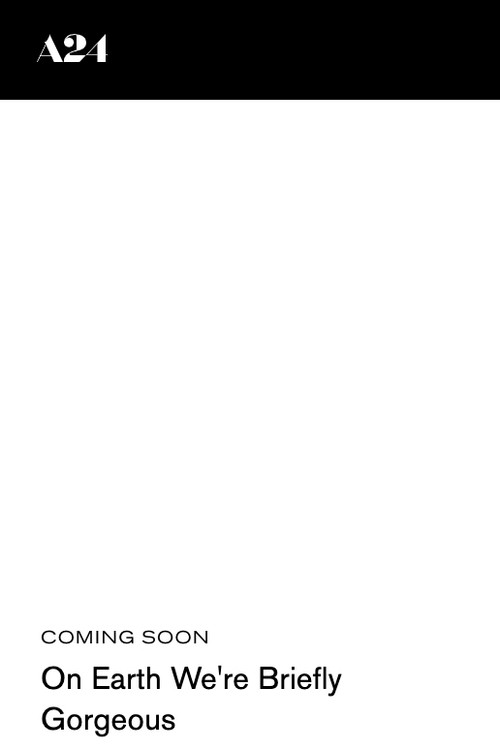 On Earth We're Briefly Gorgeous poster