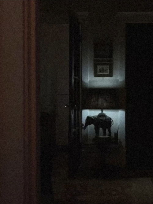 Alarm Melody (2024) poster