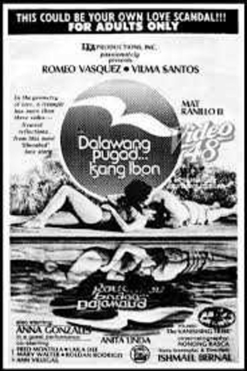 Dalawang Pugad... Isang Ibon (1977) poster