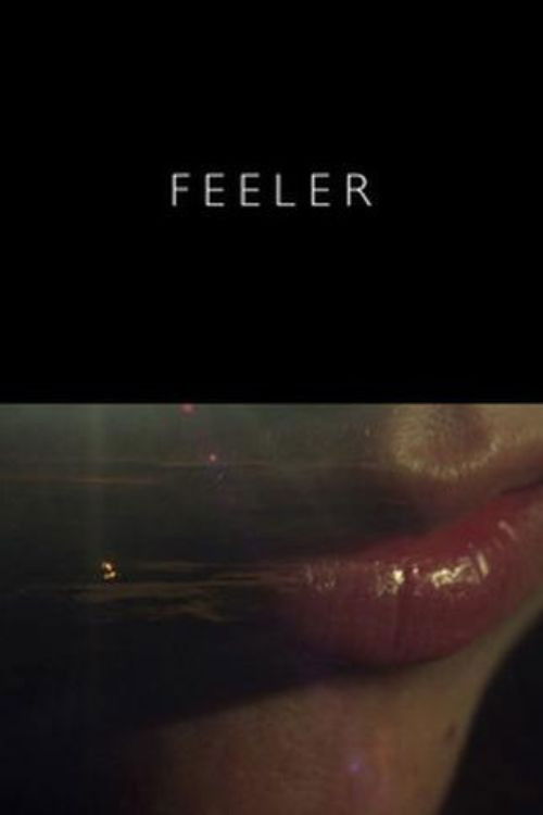 Feeler (2016) poster