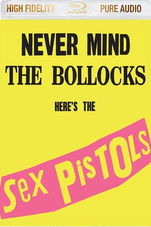 Sex pistols:  Never Mind the Bollocks: Here's the Sex Pistols (2013) poster