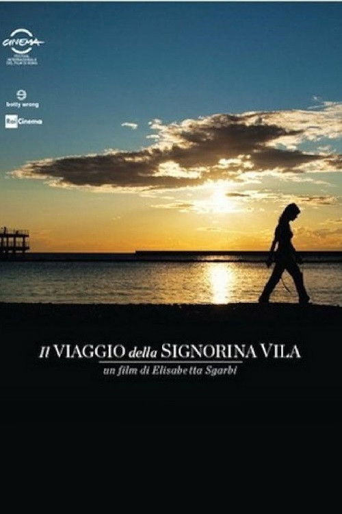 Il viaggio della signorina Vila (2012) poster