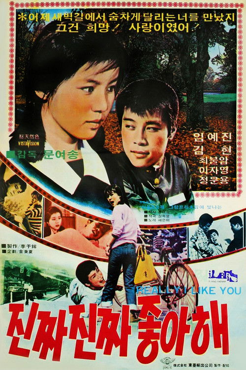 진짜 진짜 좋아해 (1978) poster