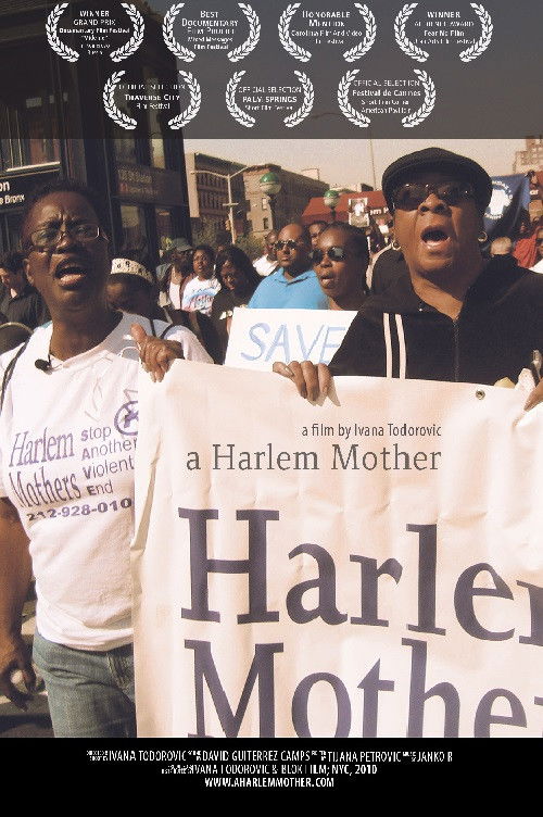 A Harlem Mother (2009) poster