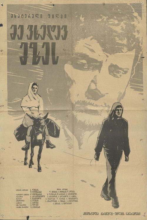 მე ვხედავ მზეს (1965) poster