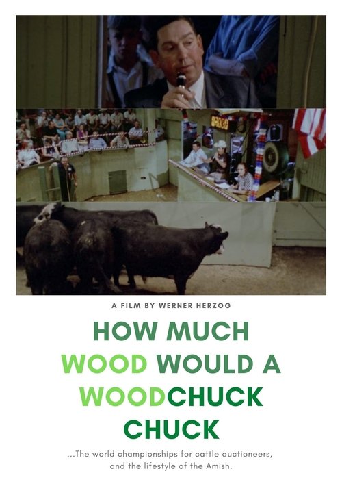 How Much Wood Would a Woodchuck Chuck (1976) poster