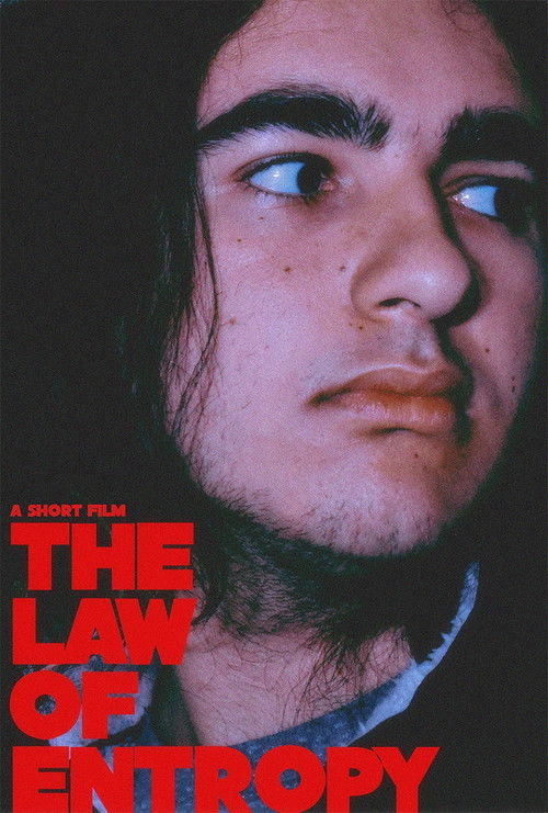 The Law of Entropy (2022) poster