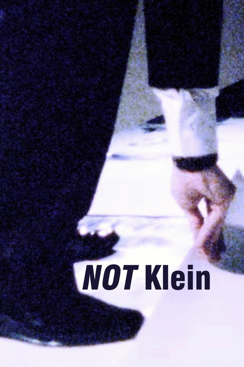 Mike Bidlo: NOT Klein (1985) poster