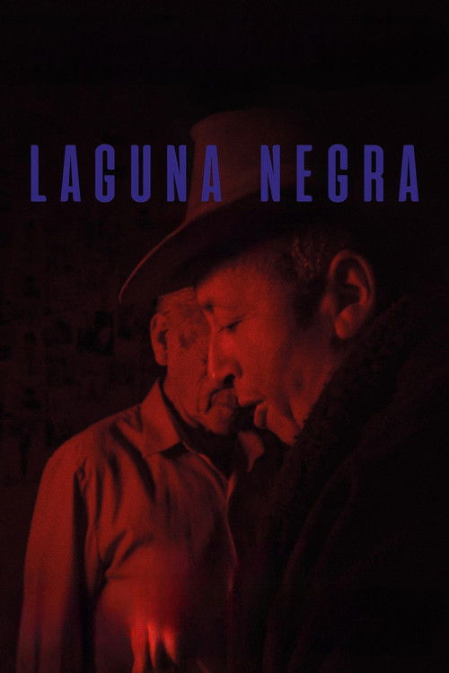 Laguna negra (2020) poster