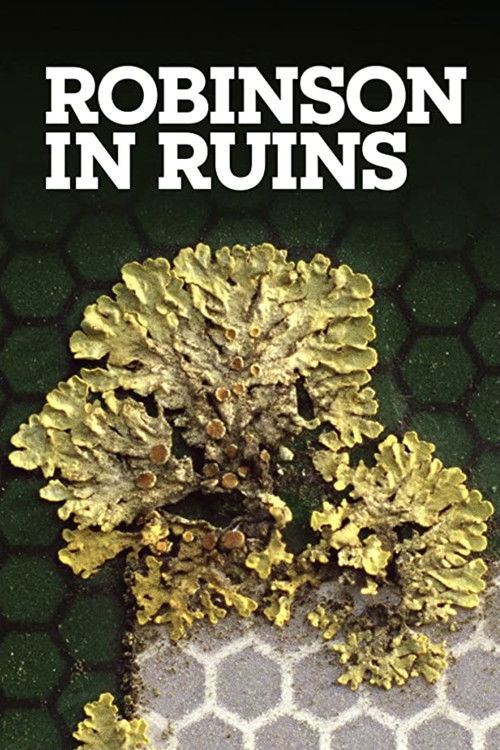Robinson in Ruins (2010) poster