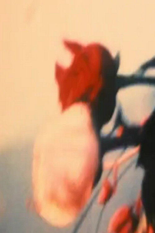 Fisherman (1998) poster