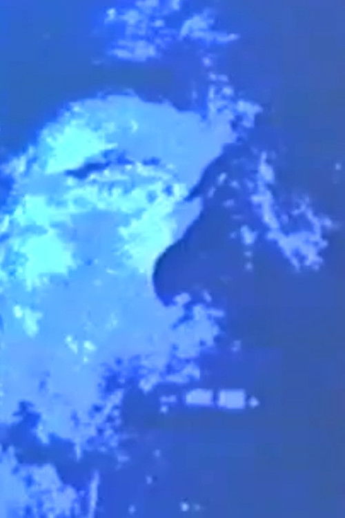 Bridal Chamber (1989) poster