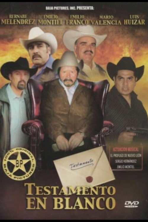 Testamento En Blanco (2010) poster