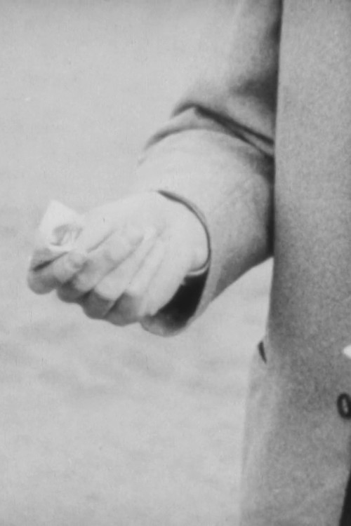 Pockpicket - Recollections of a Helsinki Bourgeois Youth (1968) poster