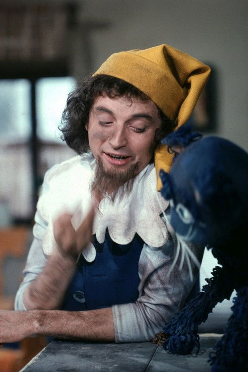 Kouzelné dřeváky (1979) poster